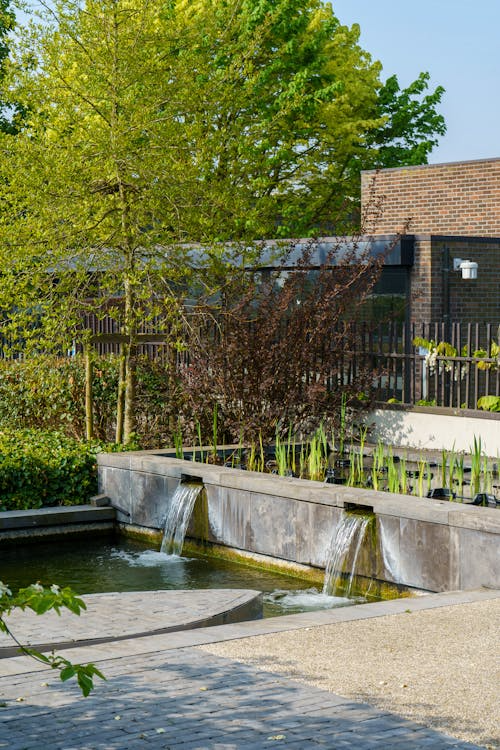 Aangelegde tuin